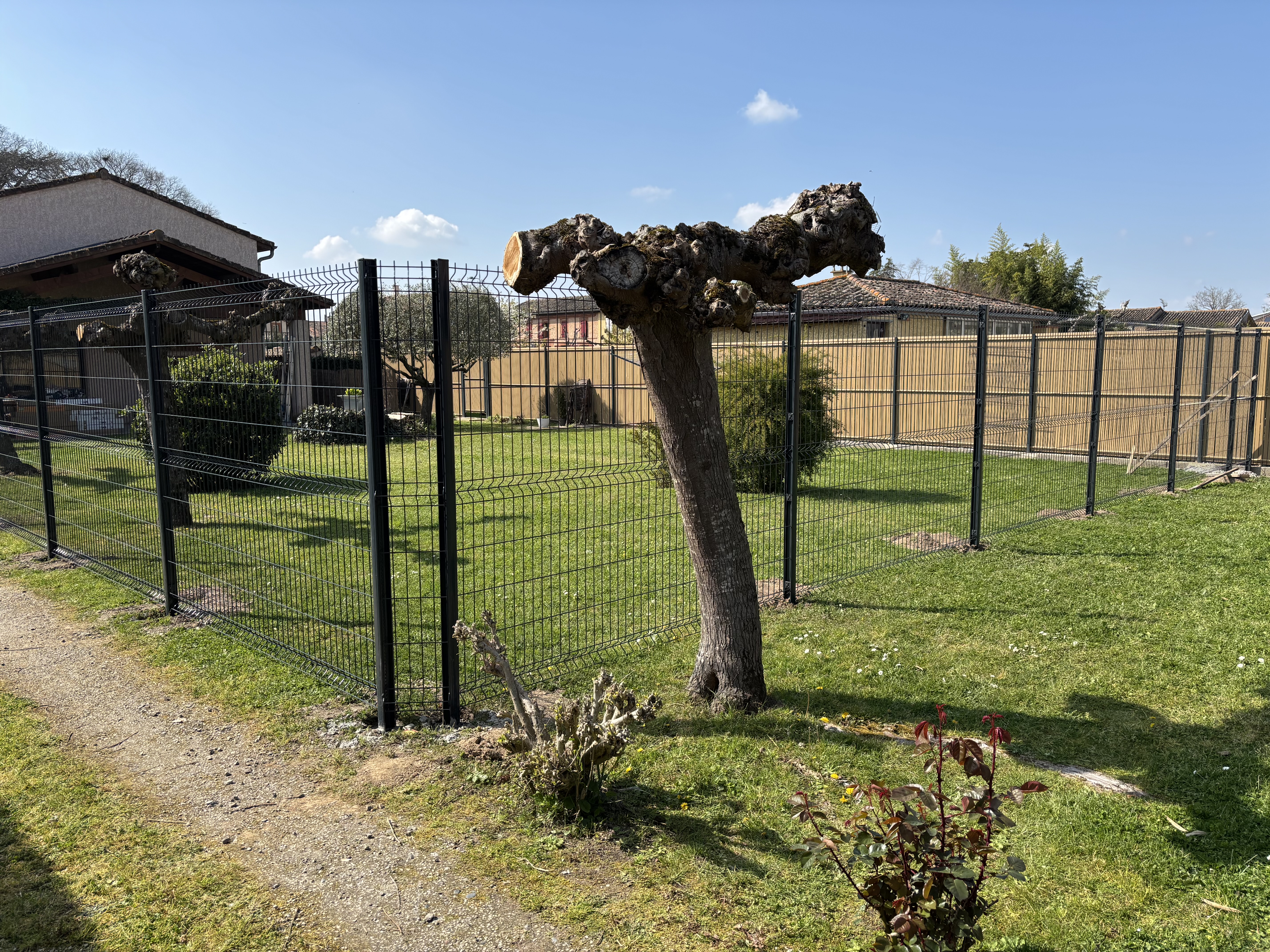 Projet 2 - Image 1
